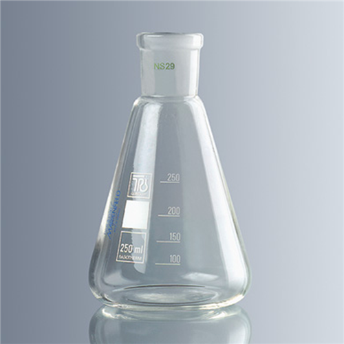 Erlenmeyer